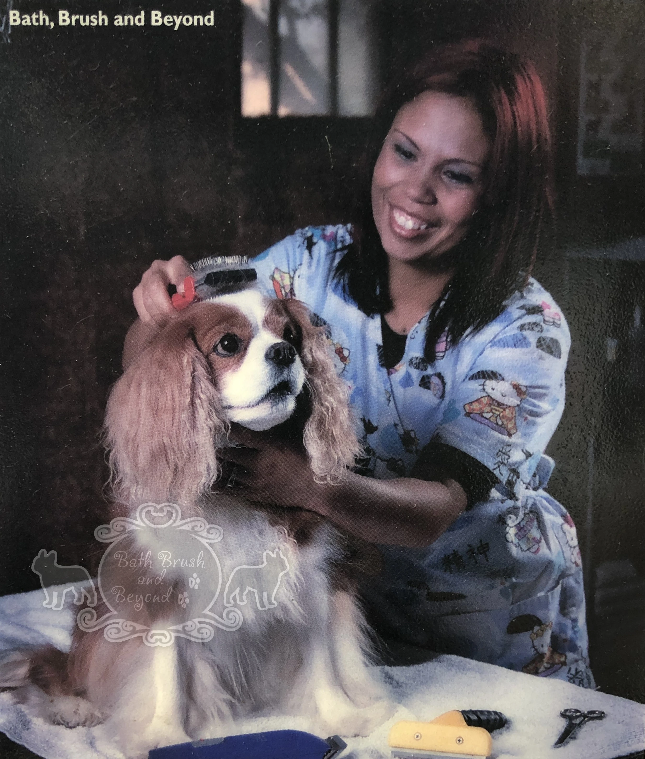Woman brushing dog